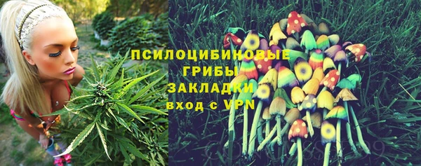 mix Касимов