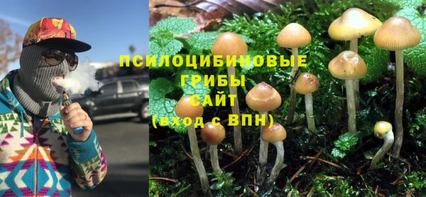 ПСИЛОЦИБИНОВЫЕ ГРИБЫ Карталы