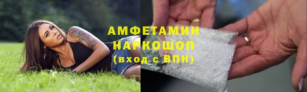 ПСИЛОЦИБИНОВЫЕ ГРИБЫ Карталы