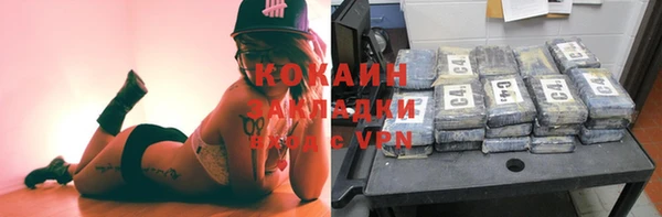 ПСИЛОЦИБИНОВЫЕ ГРИБЫ Карталы