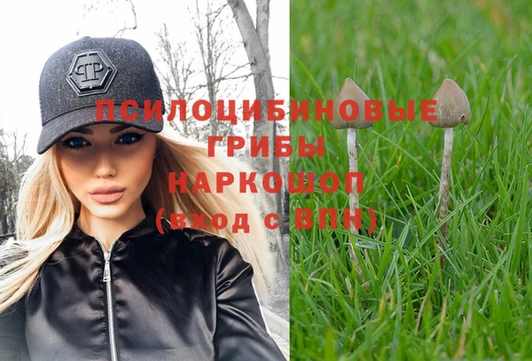 mix Касимов